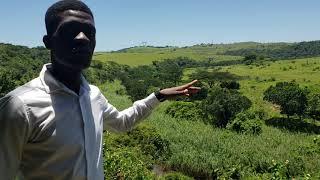 Ancient Voodoo at Chinhoyi Caves Zimbabwe