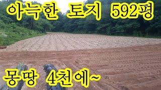 귀농귀촌 4천만원에 아방궁 조용하고 독립적인 592평 생산관리 전 충북 영동군 영동 토지 땅 싼땅 매매 매물 양강면