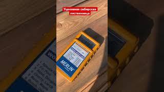 Вагонка лиственница и многое другое УЦЕНЕНЫЕ товары из сибирской лиственницы #пиломатериалы