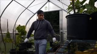 Winter Gardening (ClimaPod Virtue Greenhouse customer overview)