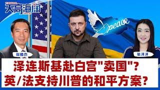 泽连斯基赴白宫"卖国"？英/法支持川普的和平方案？《天高海阔》2025.02.28