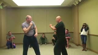 Systema Spetsnaz  los Andgeles Real Self Defense Vadim Starov Strikes & Punches & Kicks