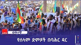 በባሕር ዳር ከተማ የተካሔደው ሕዝባዊ የሰላም የድጋፍ ሰልፍ