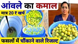 खेती में आंवले का कमाल| Best organic fertilizer pesticide & fungicide | highpower organic fertilizer