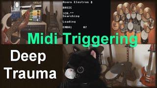 Deep Trauma (Midi modified Ibanez Jem jr, Fishman Tripleplay, Alesis nitro max, Emu Proteus 2000)