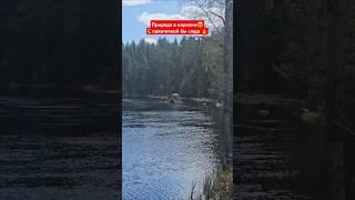 С палаточкой в Карелию?