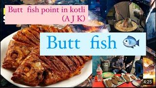 BUTT FISH POINT IN KOTLI / the most famous fish shop in ( KOTLI Azad Kashmir )