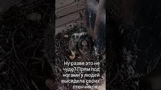 А у нас новые "сотрудники" в отделении появились. 