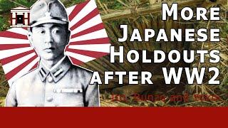 Japanese Holdouts after WW2 from 1961 to 1972 | Shoichi Yokoi, Minagawa and Ito