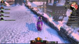 [NeverWinter]Развеиваем миф Феныча о 1 ветке магов в PvP