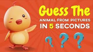 Guess the Animal, Bird or Insect | Fun Wildlife Quiz for Kids