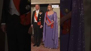 Princess Amalia and Queen Máxima sparkled at the royal banquet