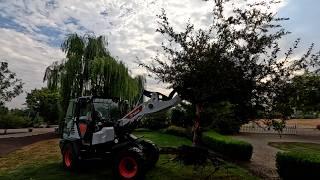 Setting Up a Fountain & Taking Out a Tree!  // Garden Answer