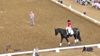 Dealing with Horse Resistance-Stop Problem