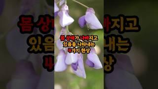 몸 상태가 나빠지고 있음을 나타내는 4가지 현상 #현실조언 #명언 #삶의지혜 #인생지혜