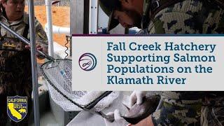 CDFW Fall Creek Hatchery Supporting Salmon Populations on the Klamath River