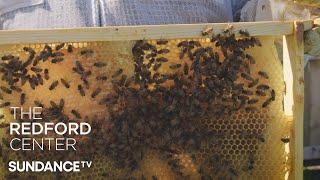 SundanceTV Presents  Detroit Hives | Power The Vote