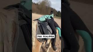 3 Arten zu Reiten  #reiten #stile #fun #pony #bayern #reitschule