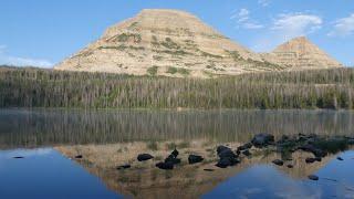 Easy Walk at Mirror Lake, Bald eagle | Bonus: Moose