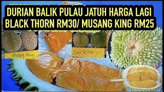 DURIAN BALIK PULAU TURUN HARGA / BLACK THORN MUSANG KING TURUN SEPARUH  HARGA / KING STREET FRUIT