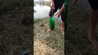 बोतल से मछली ऐसे पकड़े | Bottle fishing #fishing #fish #shorts #bottle