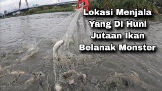 Moment Tak Terlupakan Jala Ikan Belanak Di Muara / Best Cast Net Fishing