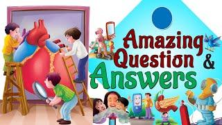 Amazing Amazing Questions and Answers - Short Stories for Kids in English | Stories for Kids