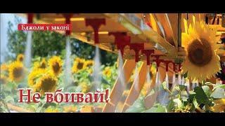 Дотации для пчеловодов 2021, законодательство в сфере пчеловодства