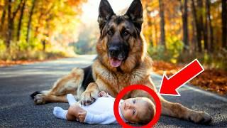 MOTHER ABANDONS HER BABY ON A DESERTED ROAD, WHAT THE DOG DID NEXT WILL LEAVE YOU IN SHOCK!