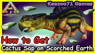 How to Get Cactus Sap in Scorched Earth Ark 