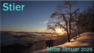  Stier - Mitte Januar 2025   -  Ein Fazit ziehen  -