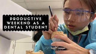 Dental Student's Productive Weekend || Brittany Goes to Dental School