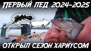 Первый лед 2024-2025 / Открыл сезон хариусом