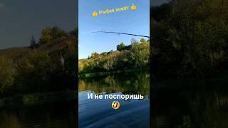 Лютый рыбак Весомый аргумент  Рыбалка #fishing #shorts