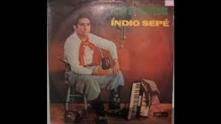 Índio Sepé - Vem Chegando o Gomercindo - Lp 1978 - (Índio Sepé)