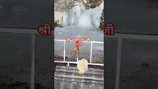 shri amarnath ji live inside visuals 2024 yatra #amarmarh #amarnathyatra #amarnathyatradates2024