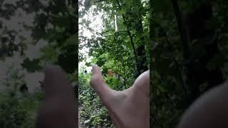 ШОК ! ПОЛНОЧЬ КВ СПАЛИЛАСЬ!!!
