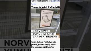 NORVEÇ'TE MARKETLER BOŞ -YUMURTA KRİZİ VAR PEKİ NEDEN?Detaylar açıklamada #norwaytodayy#norveç
