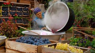  Organic Grape Harvest:  Making Old Fashioned Grape Jam