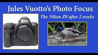 The Nikon Z8 after 2 weeks