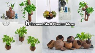 6 Coconut Shell Hanging & Tabletop Plants Ideas are Never Get Old | Coconut Shell Idea//GREEN PLANTS