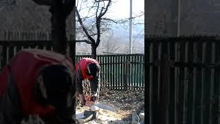 Делай это и бензопила заведется сразу #firewood #chainsaw