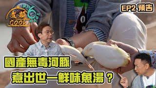 EP2 預告｜國產無毒河豚妙手煮出世一鮮味魚湯？｜#煮題COOK6 #煮題Cook中山好食好煮｜#中山美食｜#Ricky張錦祥｜#Jacky余健志 ｜HOY 77