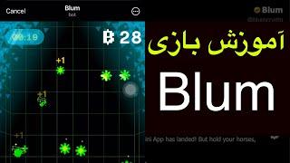 آموزش کامل ربات تلگرامی بلوم ( Blum ) +توضیحات اعتبار سنجی پروژه