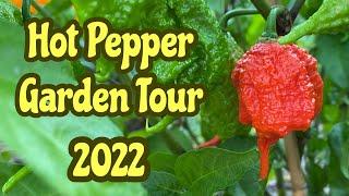 Hot Pepper Garden Tour 2022
