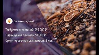 Как открыть магазин сухофруктов и орехов с нуля
