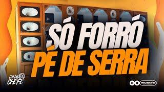 SÓ FORRÓ PÉ DE SERRA MANAUS - PRA TOCAR NO PAREDÃO