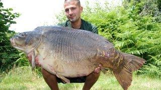 Carp fishing 64lbs 14oz mirror carp tops 30 fish haul from mirror pool France