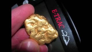 GOLD FEVER!!  Massive nuggets