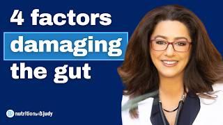 4 Main Factors that Damage the Gut and What to Do. Challenging Status Quo – Dr. Sabine Hazan
